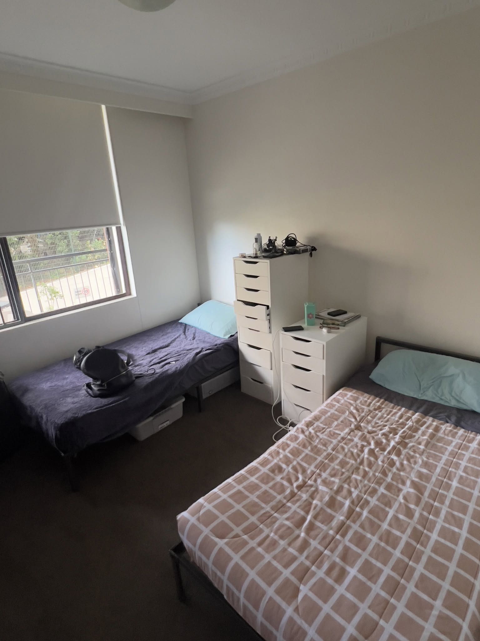 Shared room in Elizabeth Bay