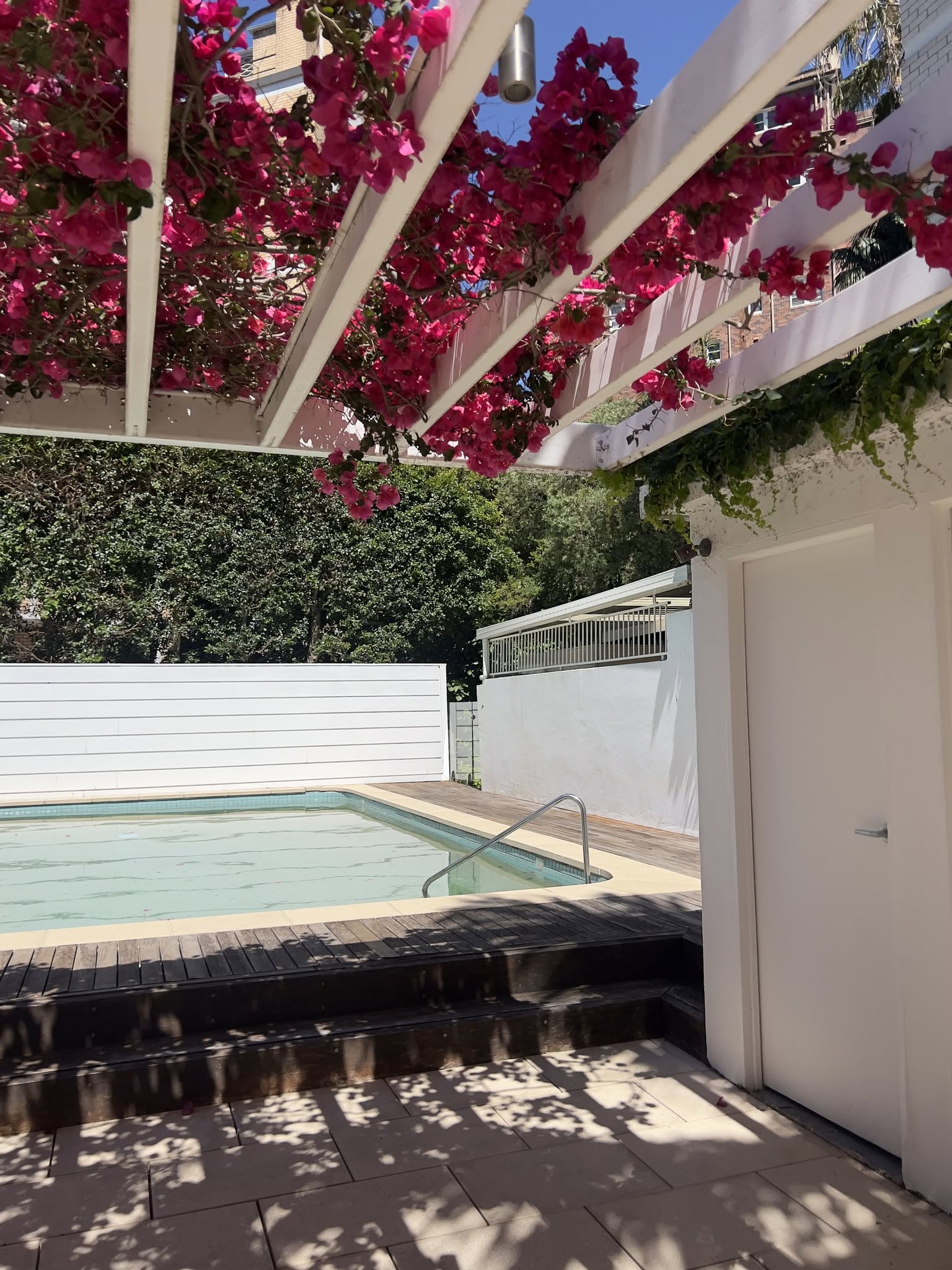 Shared room in Elizabeth Bay