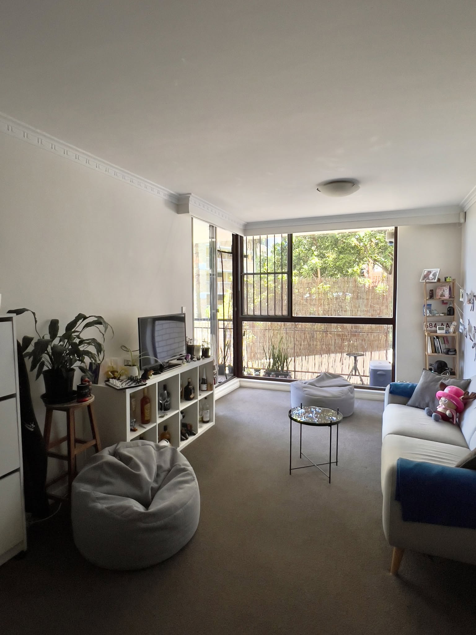 Shared room in Elizabeth Bay
