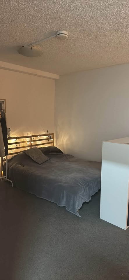 North Sydney Studio for rent
