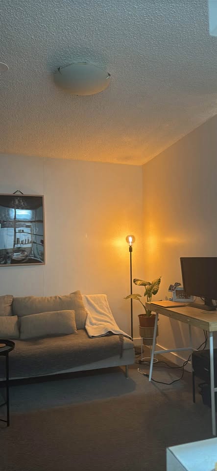 North Sydney Studio for rent